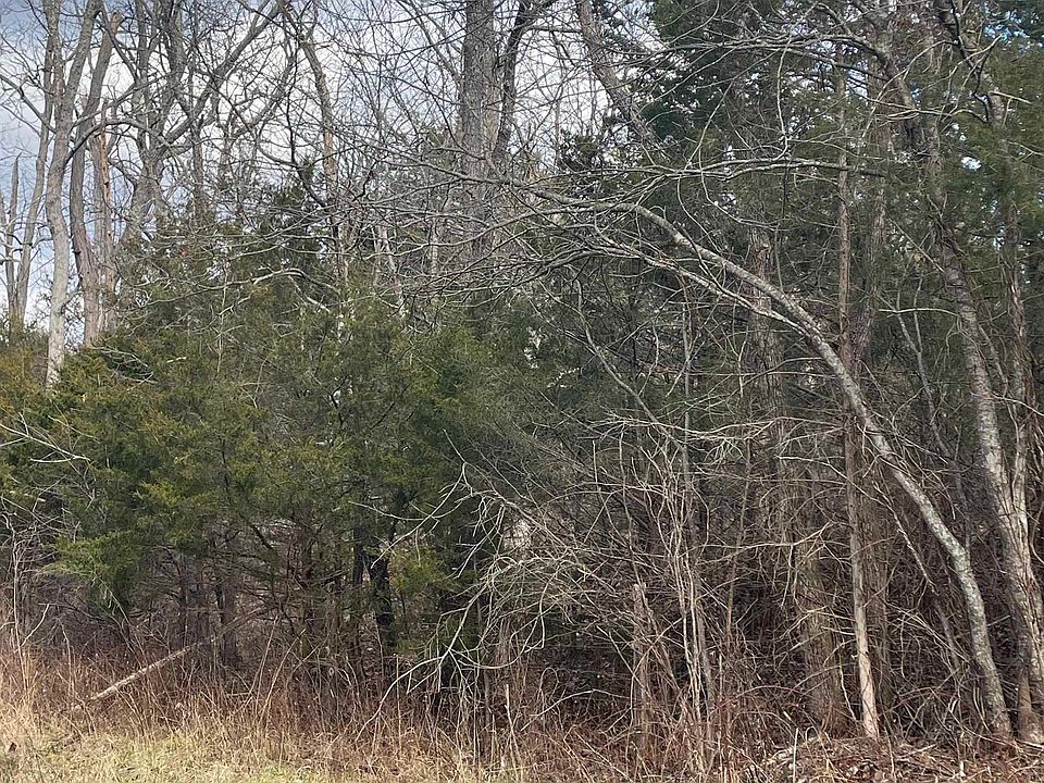 2nd image of Walker Creek Rd