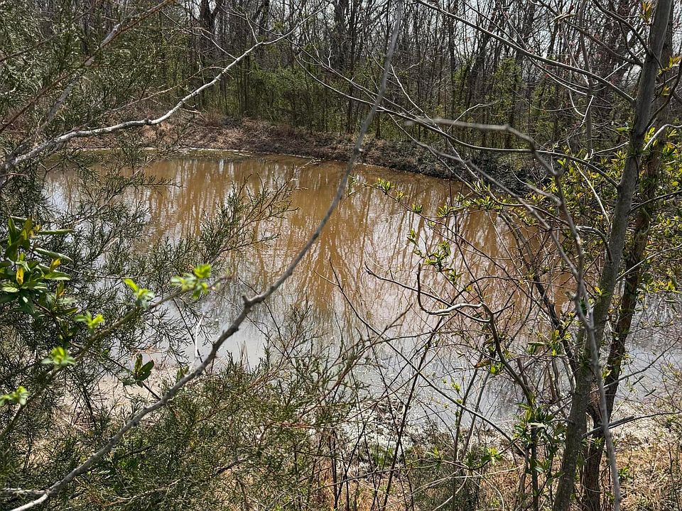 2nd image of 160 Rector Ln