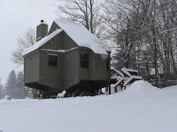 57 Hibernation Way, Davis, WV 26260