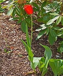 Sold by Weichert Realtors House & Home