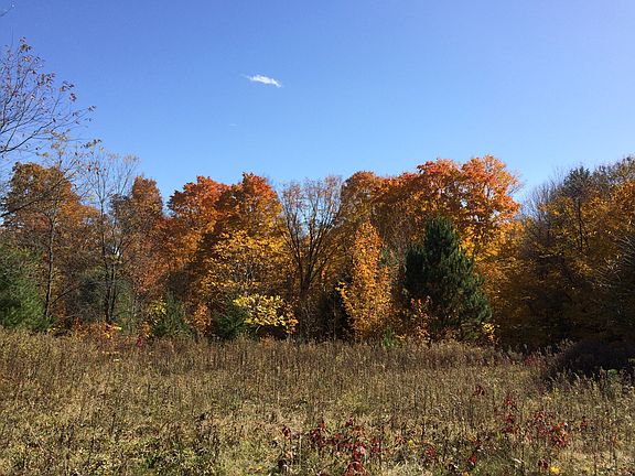5th image of 9875 Evergreen Drive #Lot 3