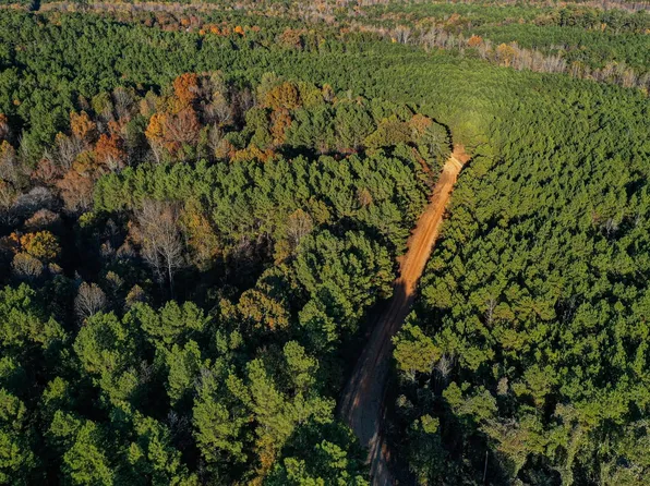 County Road 180, Guntown, MS 38849