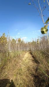 N Eighty Town Rd #6, Northome, MN, 56661