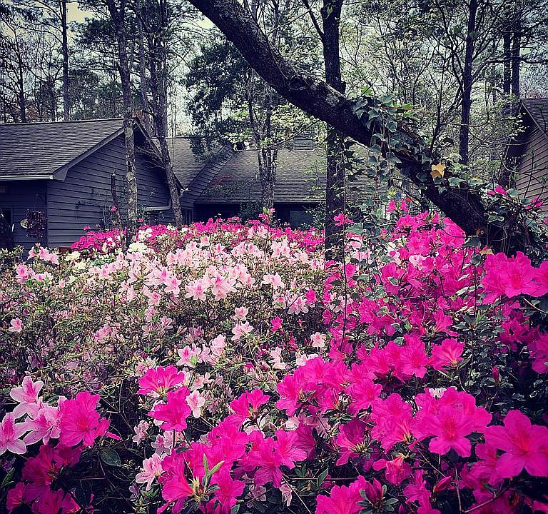 2nd image of 4111 Red Bird Rd