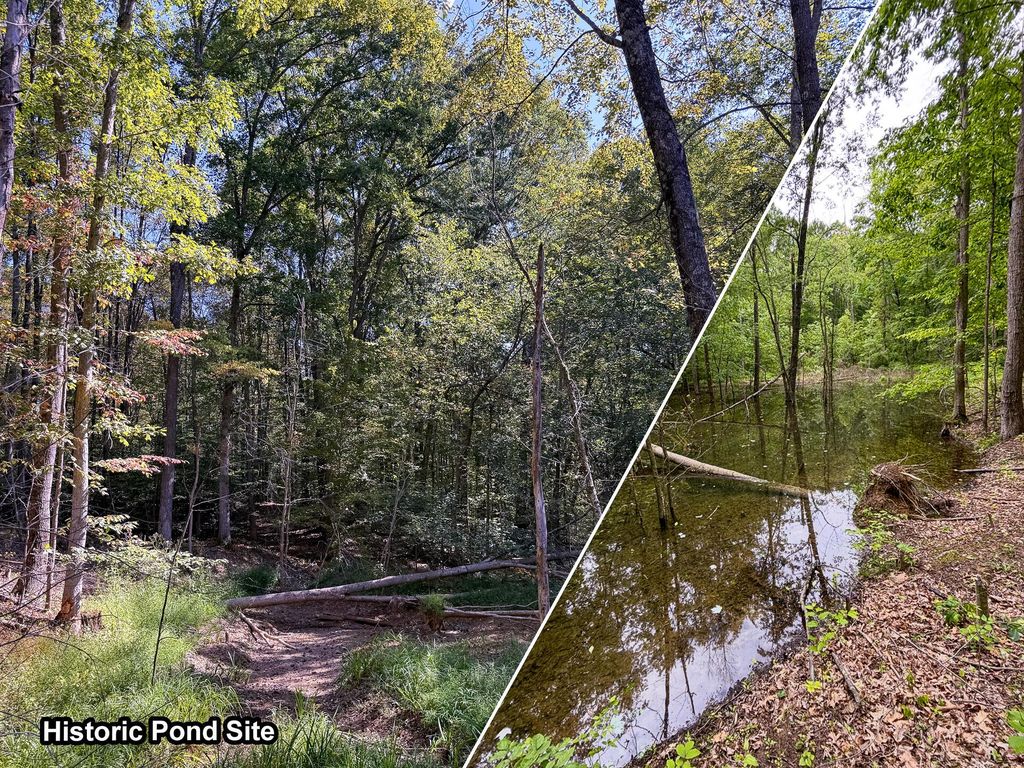 Real estate listing image