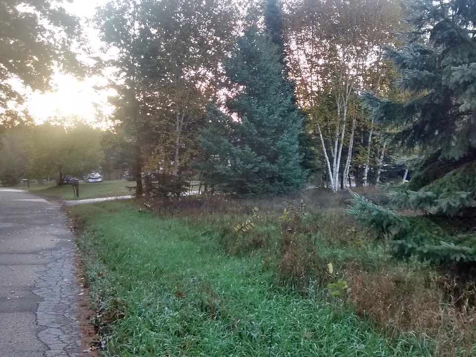 East view down Hoadley 