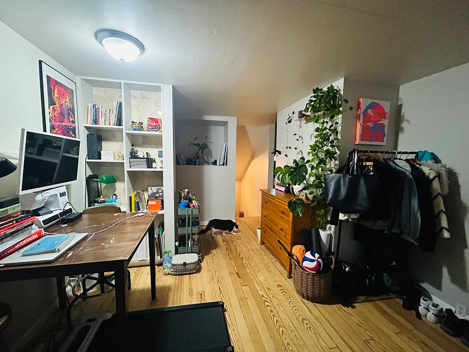 1 bed, 800 sqft, $1,399 — Photo 3