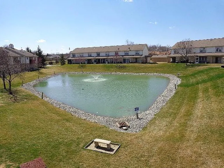 Pond view