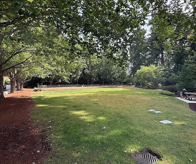 535 100th Ave SE — Photo 40