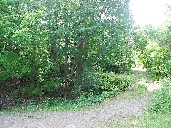 driveway going up to house
