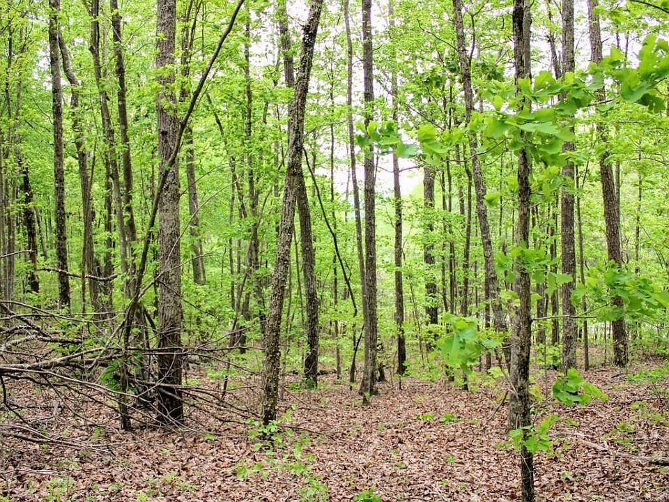 2nd image of 0 Gray Creek Rd #21