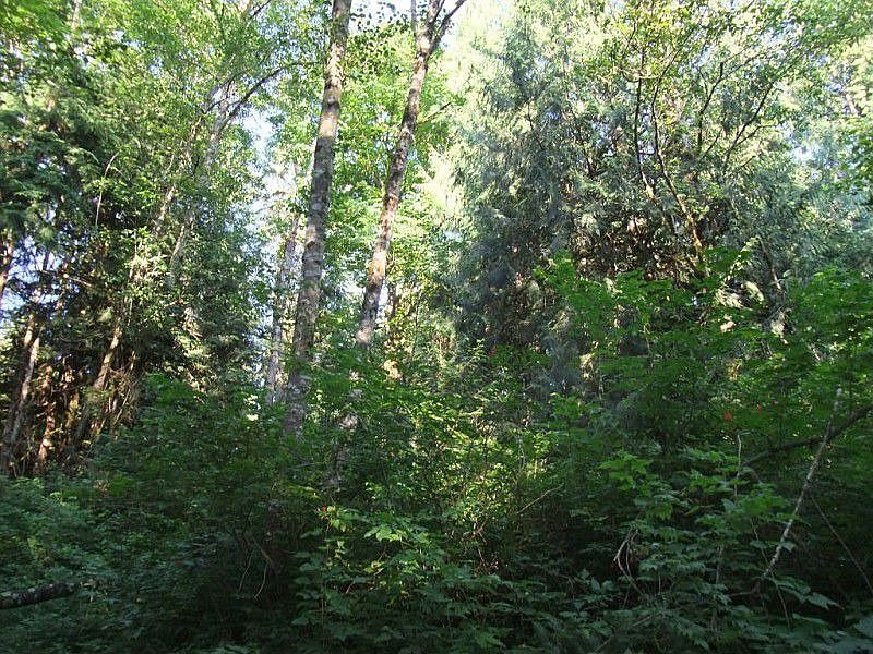 1st image of 20300 80th Ave SE