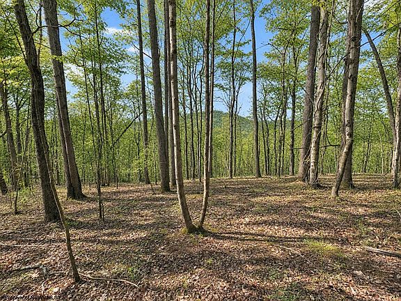4th image of Pine Grove Rd