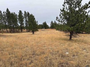 Lincoln Tarken Ln, Piedmont, SD 57769