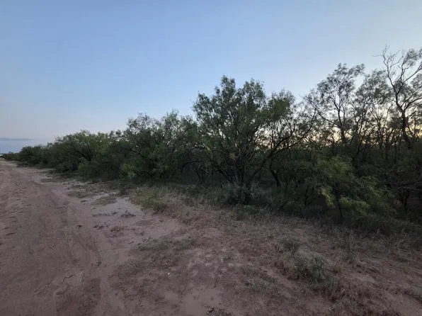 0 Pleasant Hill Rd, Snyder, TX 79549