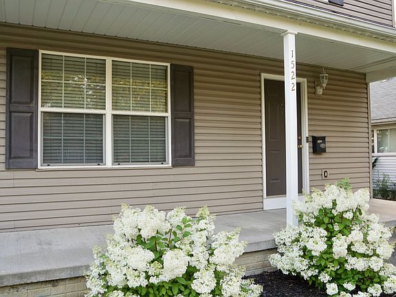 Hydrangeas still in bloom!