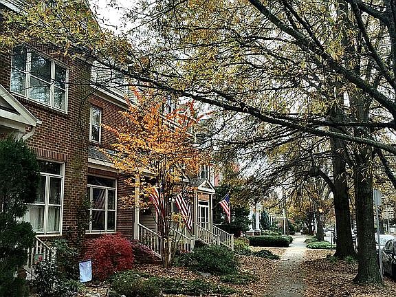 Tree lined neighborhood