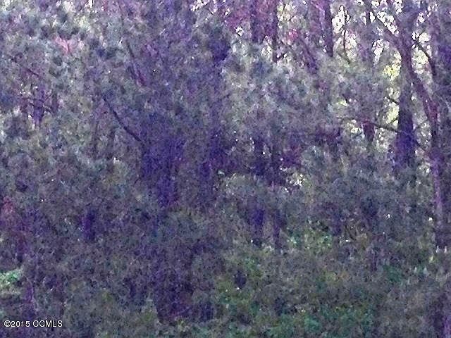 2nd image of TBD Highway 70 LOT 7