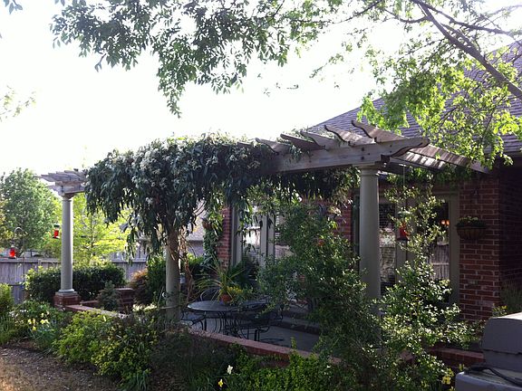 Pergola over Patio
