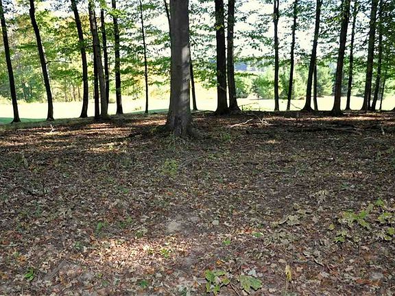 4th image of 1411 Livingston Ln