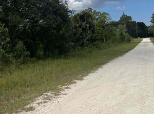 0 Yellow Frog Ave, Weeki Wachee, FL 34614