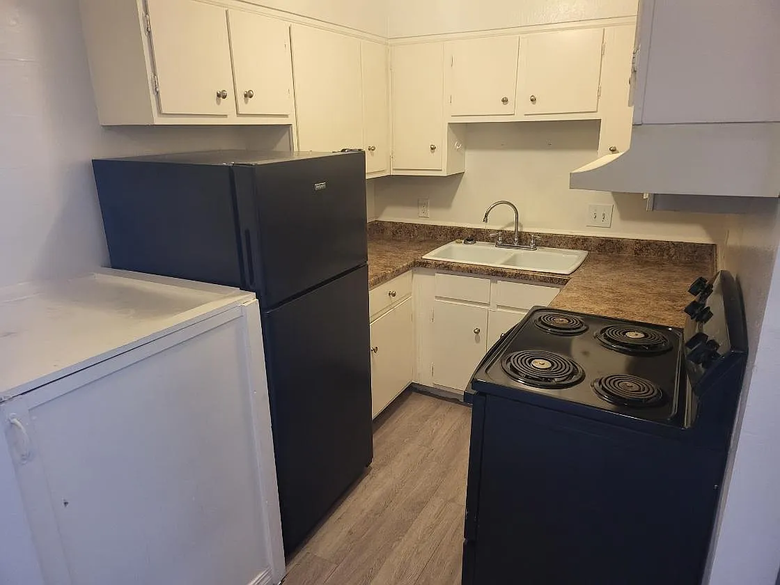 1 bed, 507 sqft, $950 — Photo 2