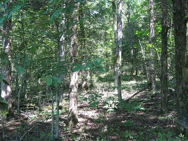 1st image of 0 Cordell Hull Ln Lot 26