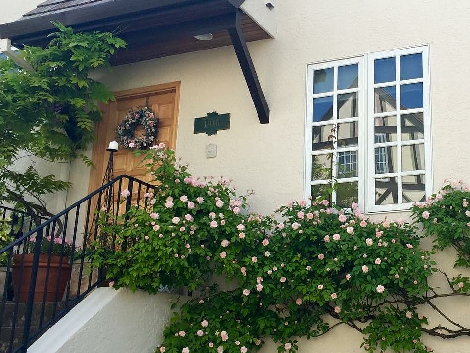 Spring roses over the garage