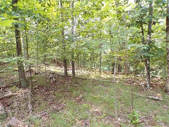 4th image of 1433 Echota Ln