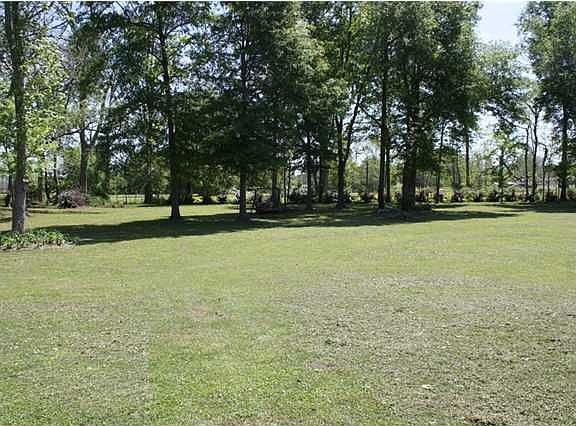 4th image of 293 Carmen Dr