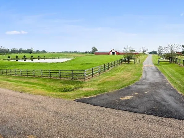 38264 R J Riley Rd, Mount Hermon, LA 70450