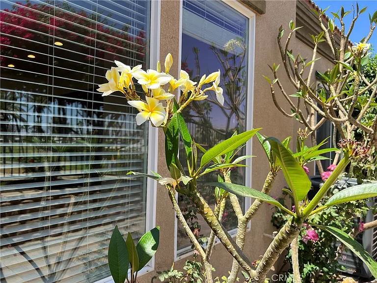 77184 California Dr — Photo 41