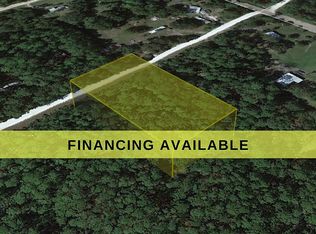 2121 Guava Ln, Bunnell, FL 32110