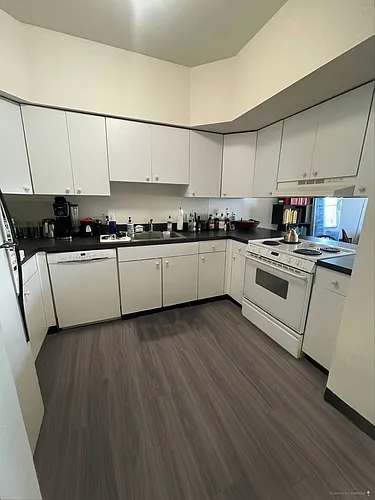 4147 Cass Ave #500 Photo 1