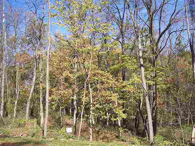 1st image of 9 Trailside Dr