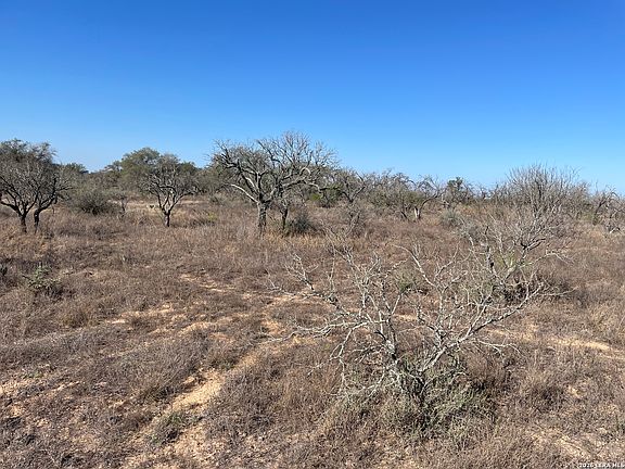 5th image of TRACT#8 12.31A County Road 777 LOT 8