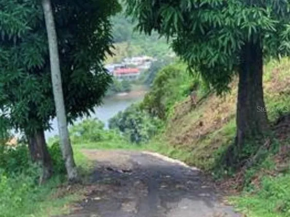 Carr #164, Naranjito, PR 00719