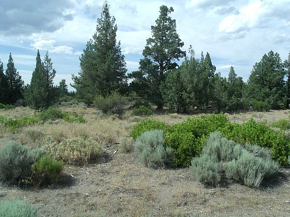 3rd image of Lot 260 Sherwood