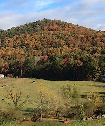 4th image of 3702 Wears Valley Rd