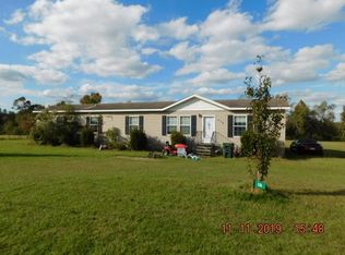 176 Paycheck Ln, Sycamore, GA 31790