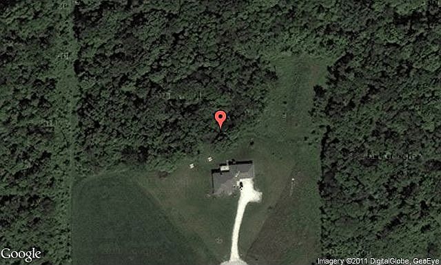 Map View