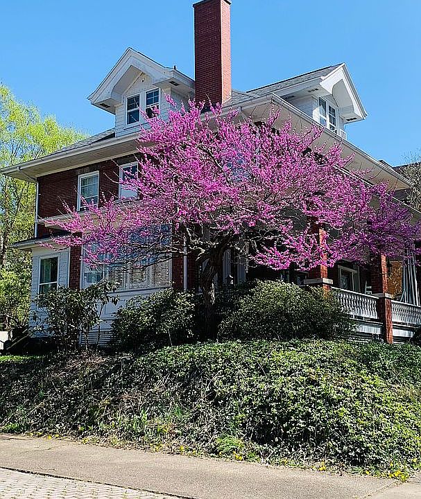 2nd image of 209 S Walnut St