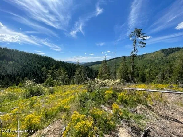 2630 Alpine Dr, Fernwood, ID 83830