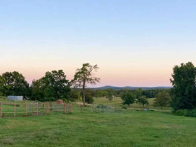 Window View