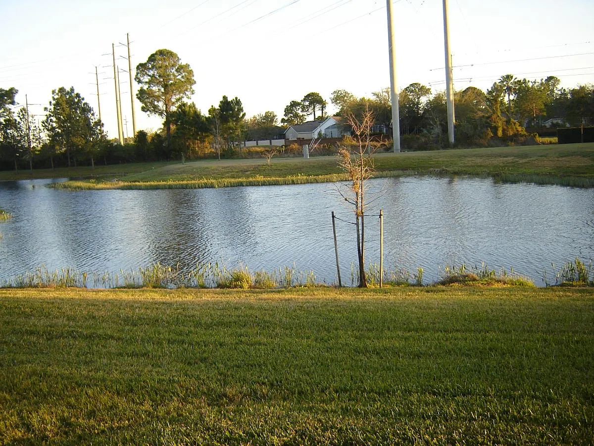 3 bed, 2.5 bath, 1480 sqft, $2,249 — Photo 3