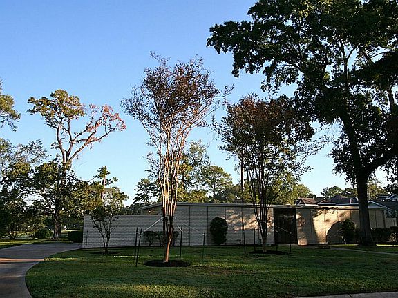 Large Mature Lot on Cypress Golf Course (Champions North)