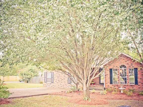 Lanscaped yard w/irrigation