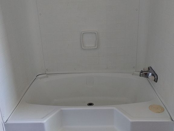 Master Bath Garden Tub