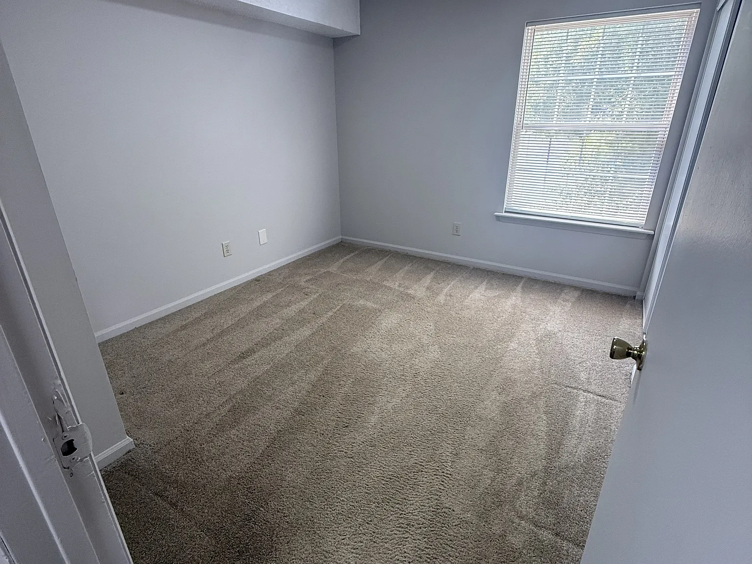 1703 Pineland Ave — Photo 2