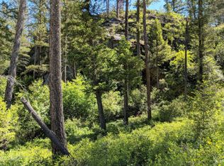 1021 Silvertip Dr N, Bigfork, MT 59911